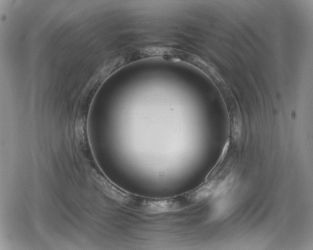 X0000080120473200612081256