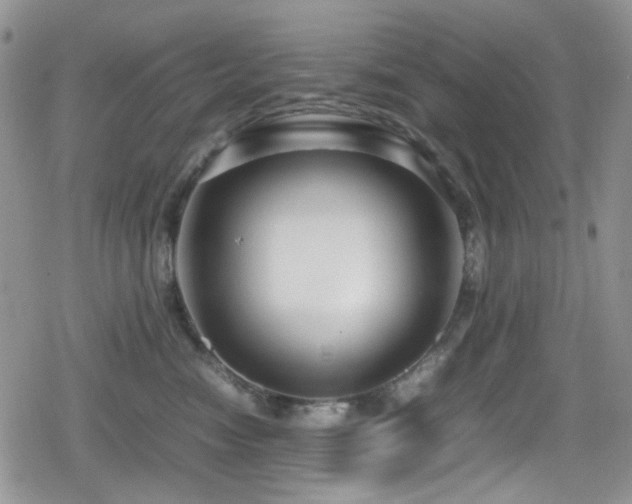 X0000080120474200612081256
