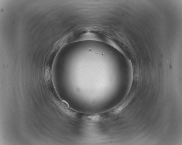X0000080120478200612081256