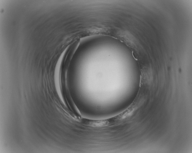 X0000080120479200612081256