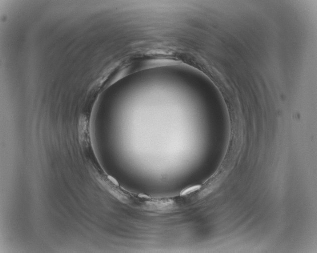X0000080120480200612081256