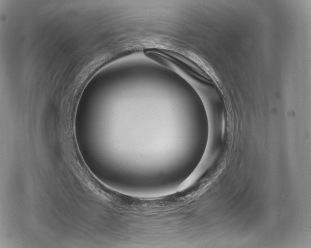 X0000080120481200612081256