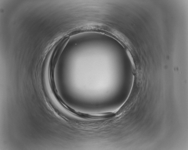 X0000080120485200612081256