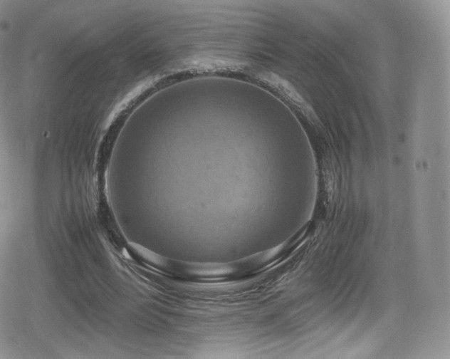 X0000080120488200612081256