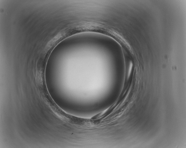 X0000080120489200612081256