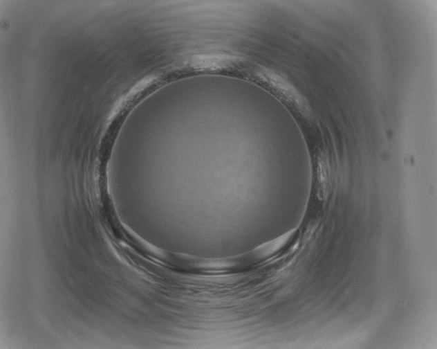 X0000080120492200612081255