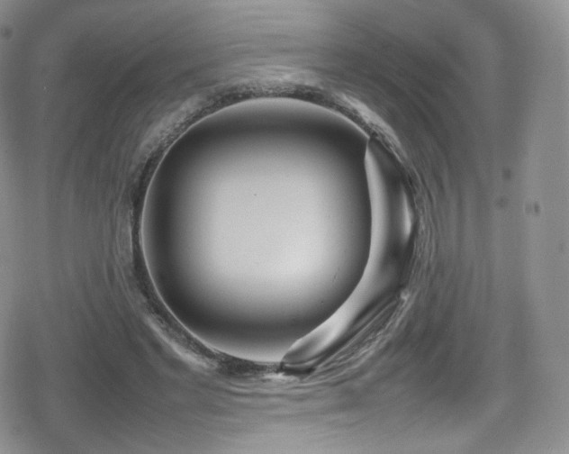 X0000080120493200612081255