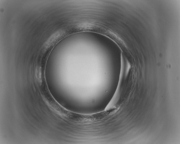 X0000080120494200612081255