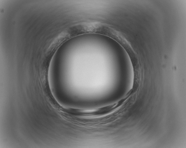 X0000080120505200612081255