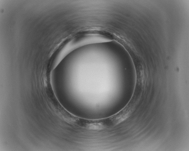 X0000080120508200612081255