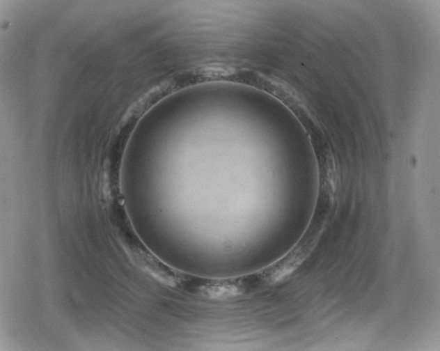 X0000080120512200612081255