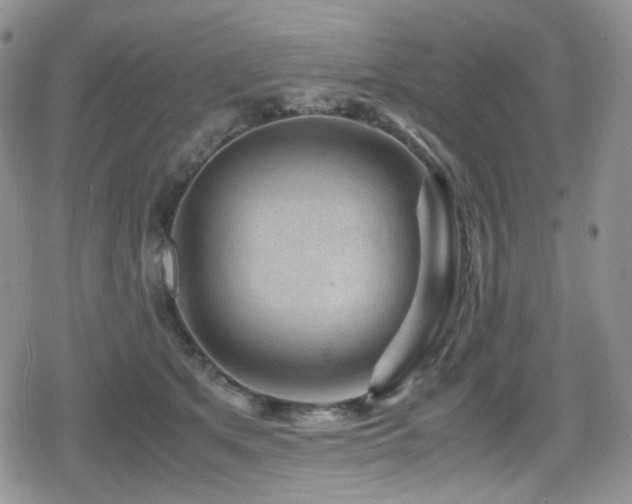 X0000080120513200612081255