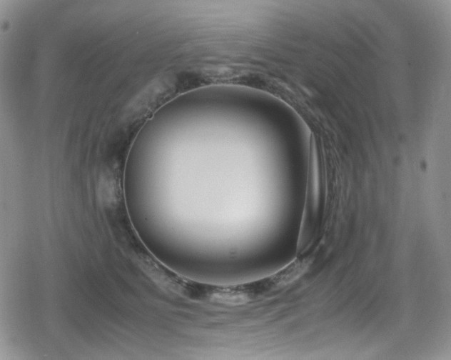 X0000080120515200612081255