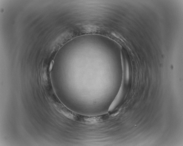 X0000080120516200612081255