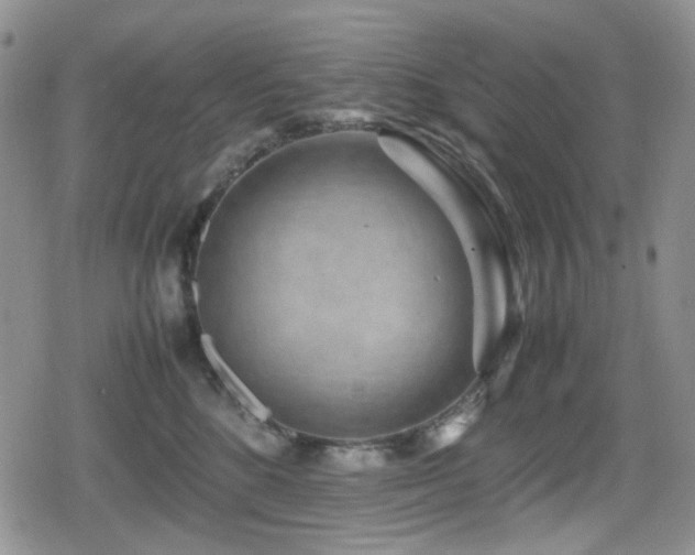 X0000080120520200612081255