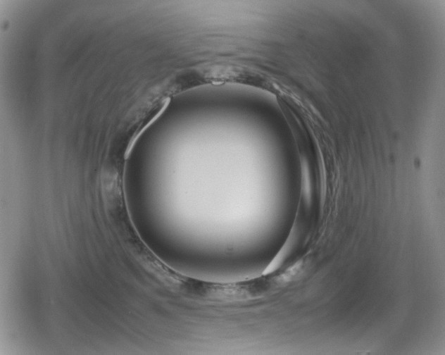 X0000080120521200612081255