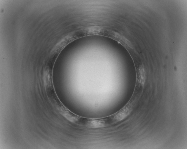 X0000080120522200612081255