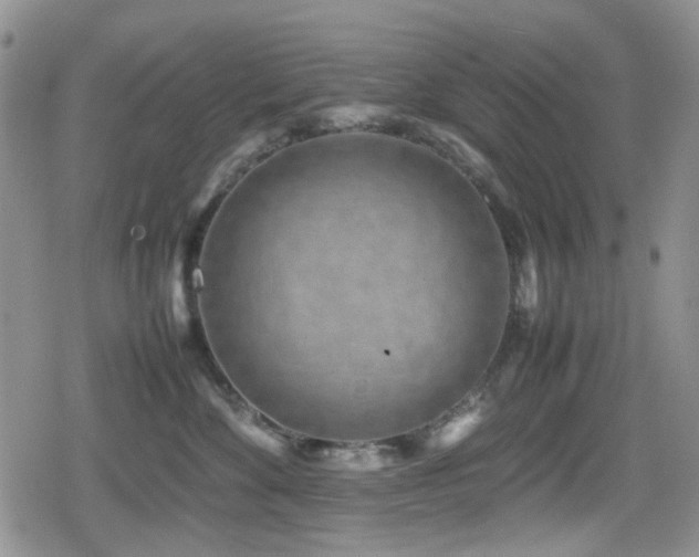 X0000080120524200612081255