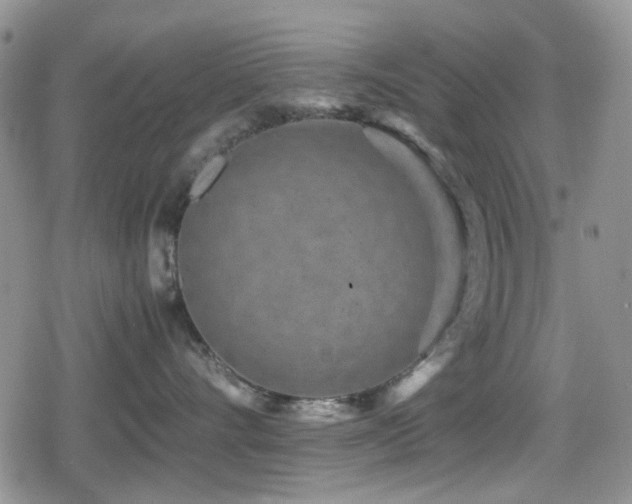 X0000080120528200612081255