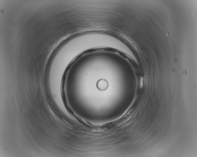 X0000080120540200612081254