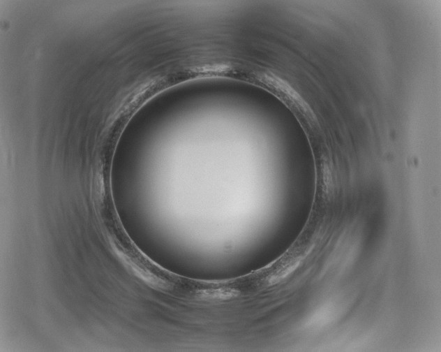 X0000080120541200612081254