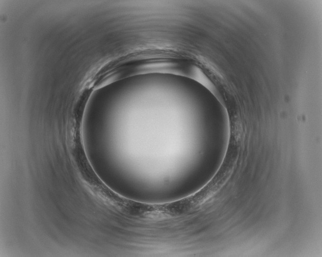 X0000080120544200612081254