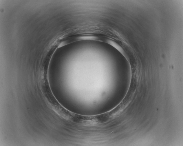 X0000080120548200612081254