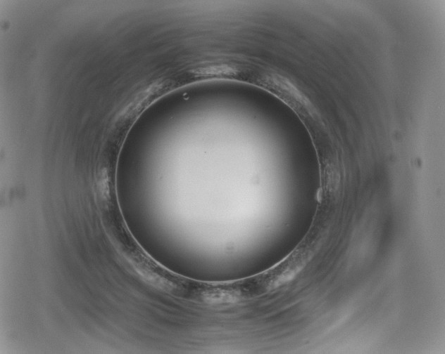 X0000080120549200612081254