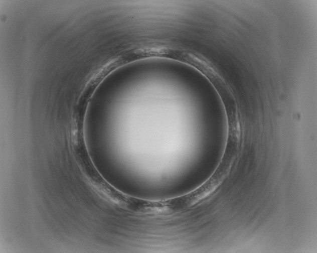 X0000080120552200612081255
