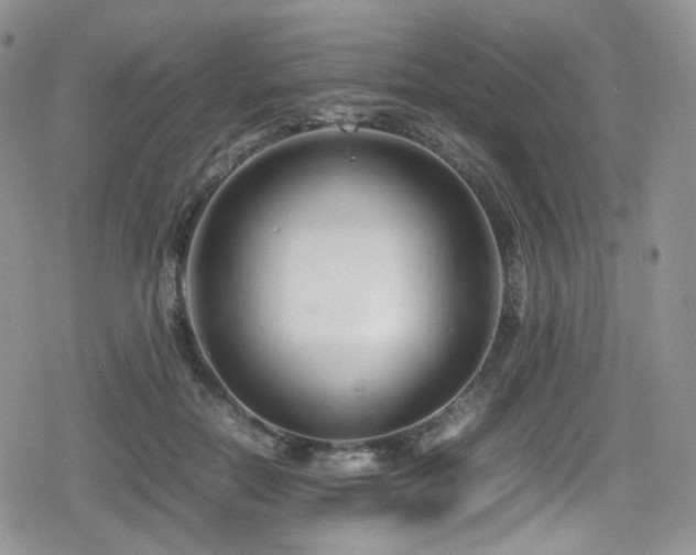 X0000080120554200612081255