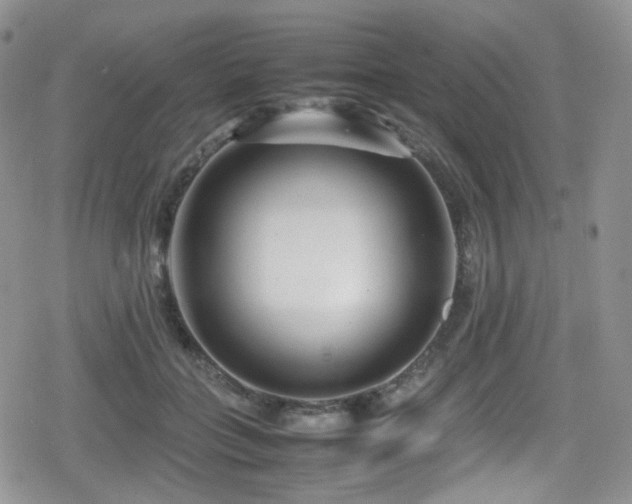 X0000080120555200612081255