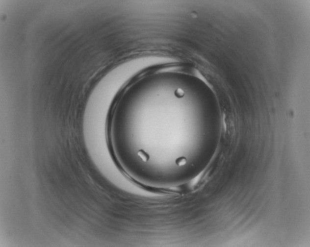X0000080120556200612081255