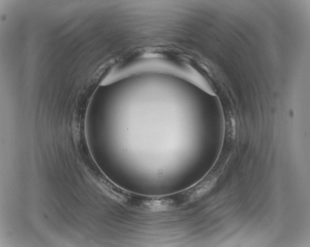 X0000080120558200612081255