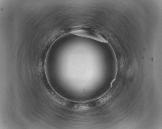 X0000080120559200612081255