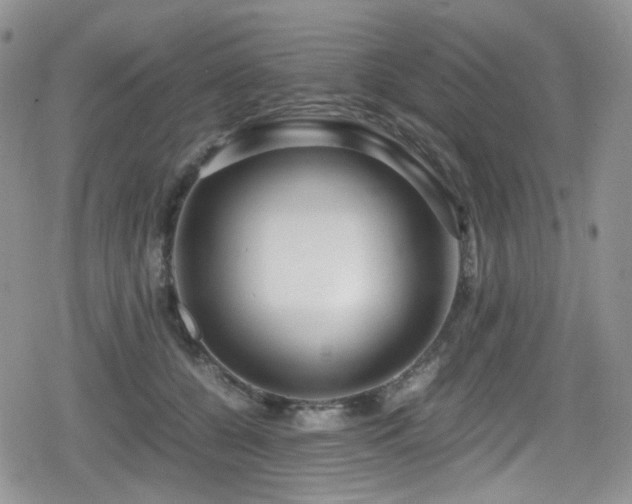 X0000080120560200612081255