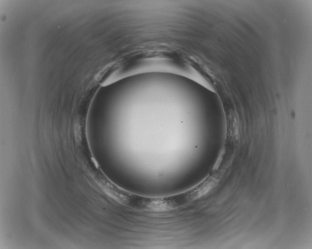 X0000080120562200612081255