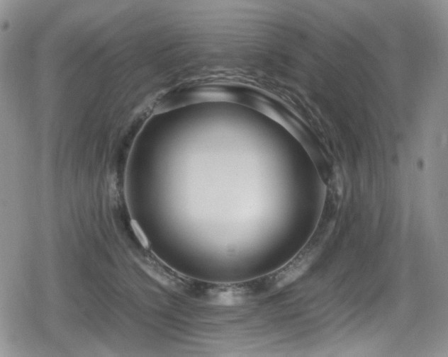 X0000080120564200612081255