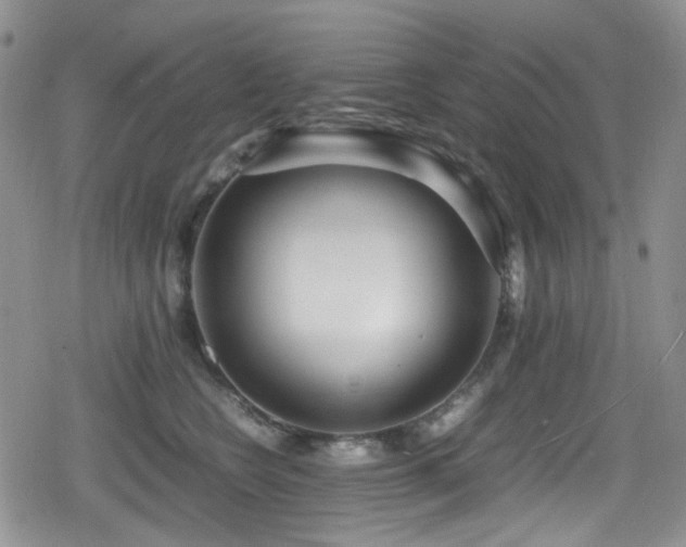 X0000080120566200612081255