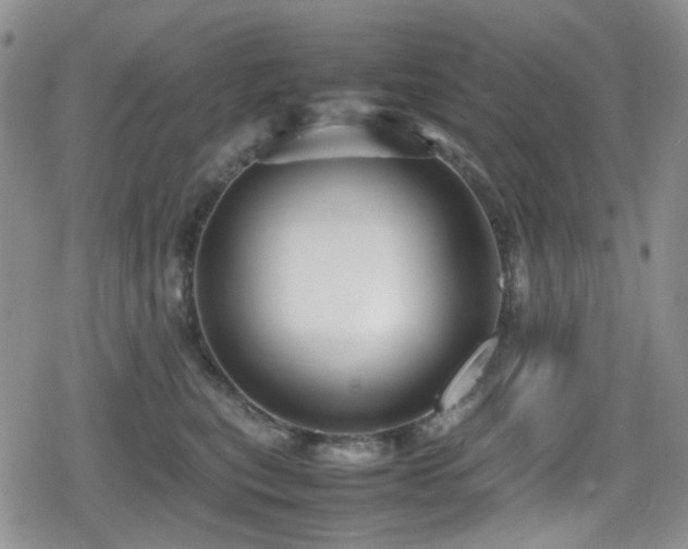 X0000080120567200612081255