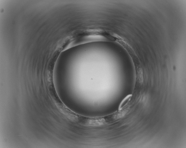 X0000080120571200612081255