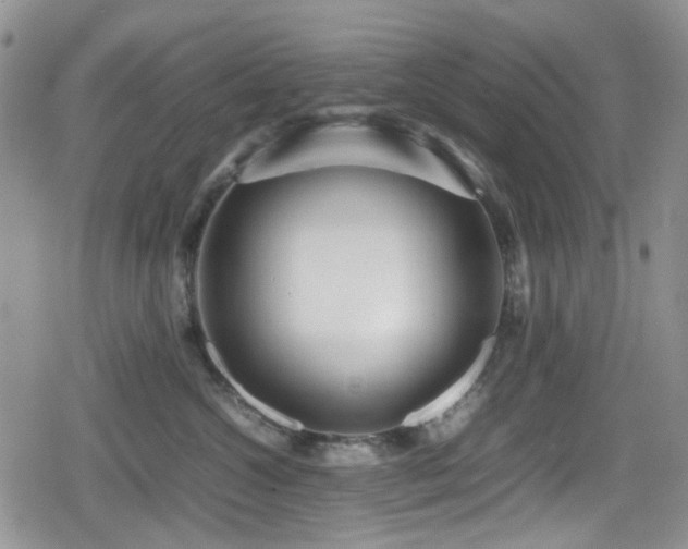 X0000080120572200612081255
