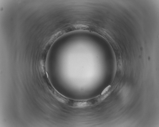 X0000080120575200612081255