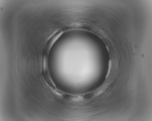 X0000080120576200612081255