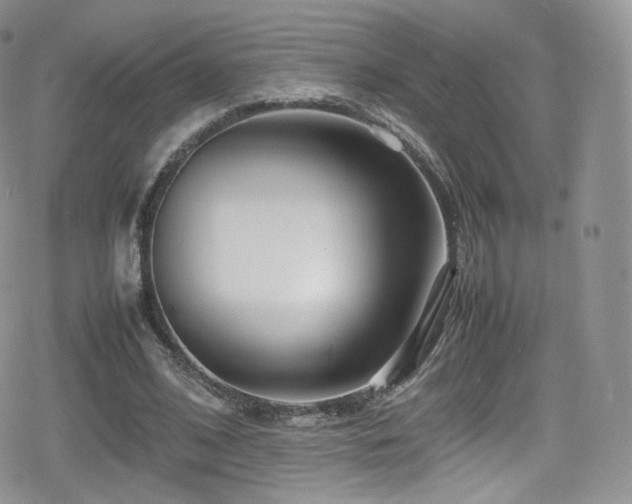 X0000080120584200612081254