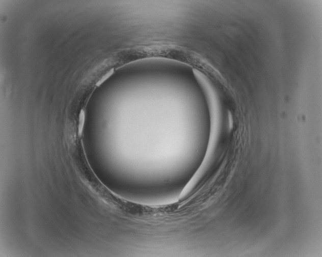 X0000080120593200612081254
