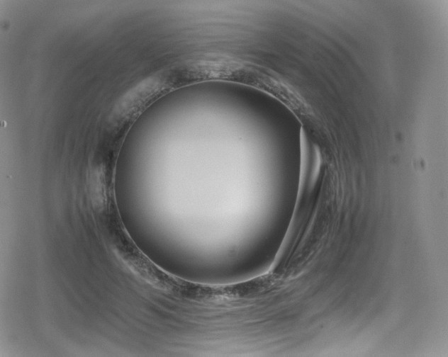 X0000080120594200612081254