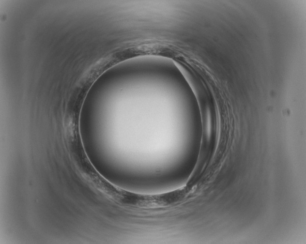 X0000080120597200612081254