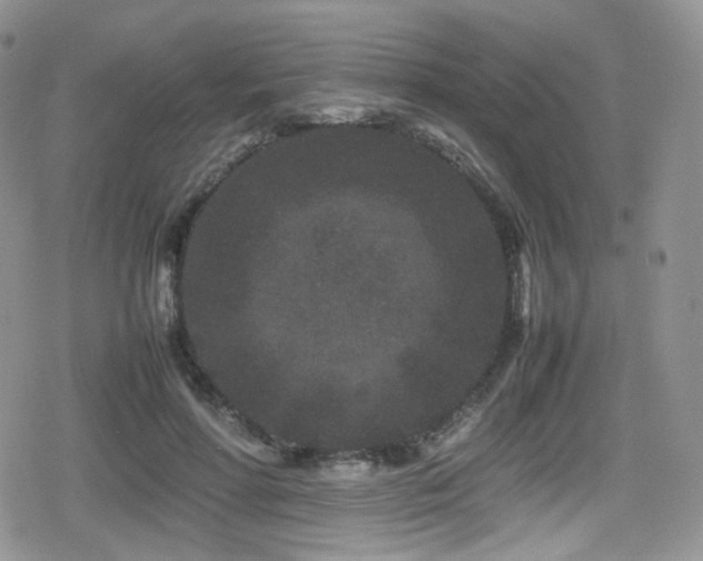 X0000080120598200612081254