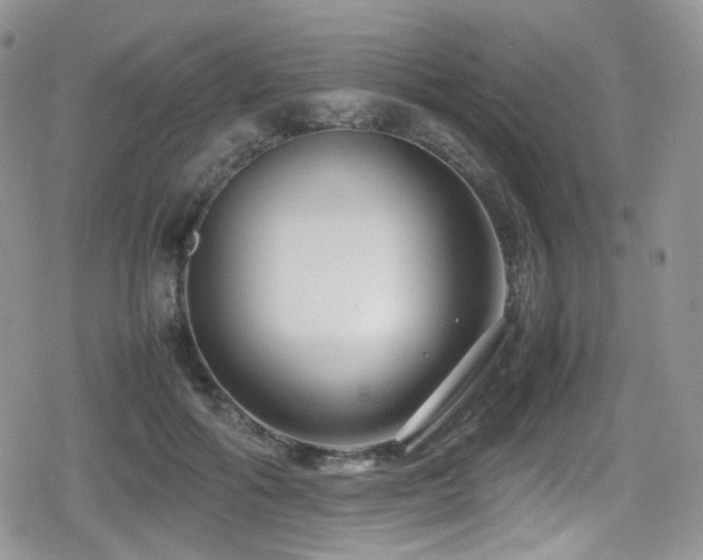 X0000080120602200612081254