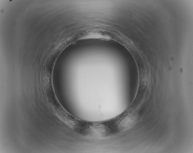 X0000080120603200612081254